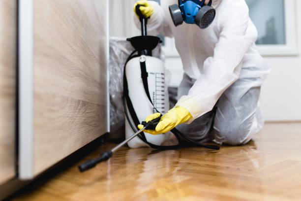 Best Pest Control Near Me in Irwindale, CA