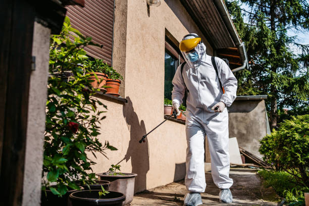 Best Local Pest Control Services  in Irwindale, CA