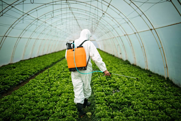 Best Residential Pest Control  in Irwindale, CA